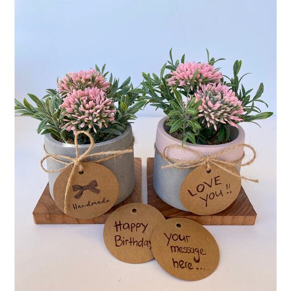 Set of 3 Artificial Pink Allium Flowers in Handmade Concrete Pot with Wood Tray - Picture 7 of 9